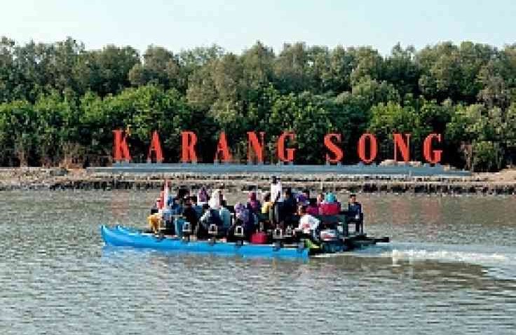 Hutan Mangrove Karangsong, Pesona Lain Pantai Utara