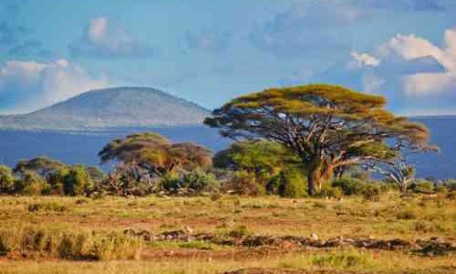 Mau Menikmati Suasana Seperti di Afrika ? Datang Saja ke Taman Nasional Baluran