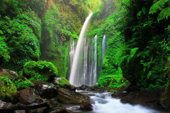 Wisata Air Terjun Keren di Lombok Ada Yang Bisa Bikin Awet Muda