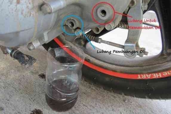 Cara Mudah Ganti Oli Gardan Motor Matic, Bisa Dikerjakan Sendiri