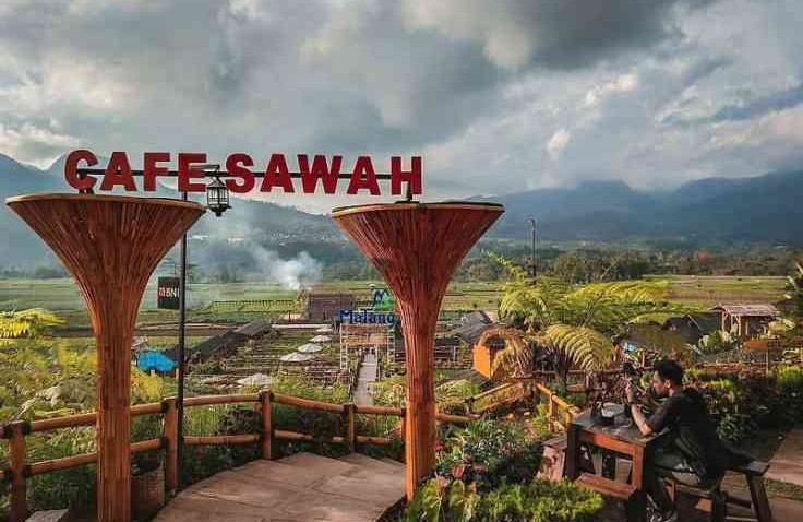 Manikmati Makanan Sambil Menikmati Pemandangan Alam di Cafe Sawah