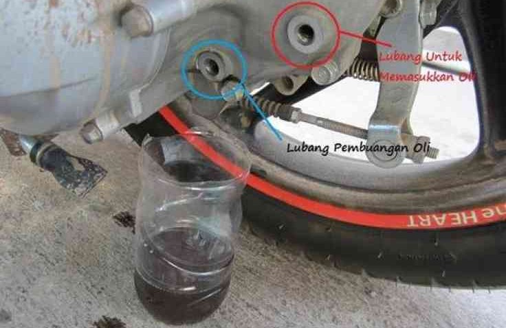 Ganti Oli Gardan Motor Matic Di Rumah Aja Begini Caranya
