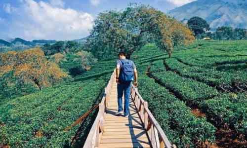 Tempat Wisata di Malang Yang Hits dan Instagramble