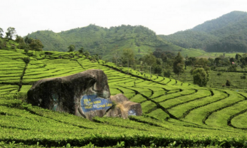 Rekomendasi Tempat Wisata di Kawasan Sentul Bogor,Cocok buat Liburan Akhir Pekan