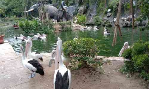 Wisata Taman di Jakarta Selatan untuk Wisata Akhir Pekan