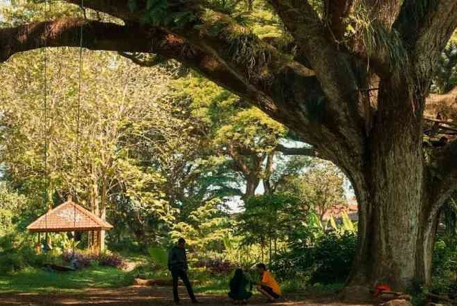 Lima Tempat Wisata Hits di Banyuwangi, Cocok Untuk Liburan Akhir Tahun