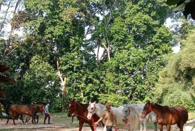 Rekomendasi Tempat Wisata di Tasikmalaya Terbaru 2022 yang Sedang Hits Saat ini